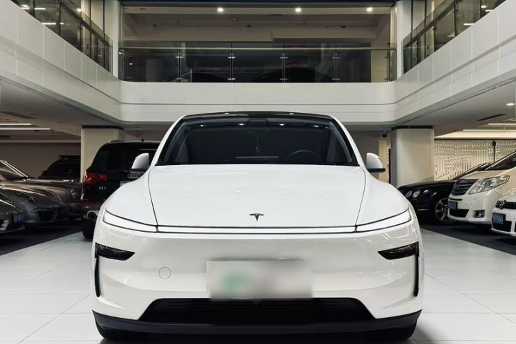 2025 Tesla Model Y - Main View