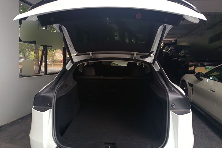 2025 Tesla Model Y - Main View