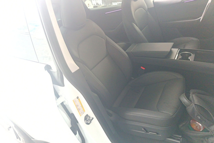 2025 Tesla Model Y - Main View