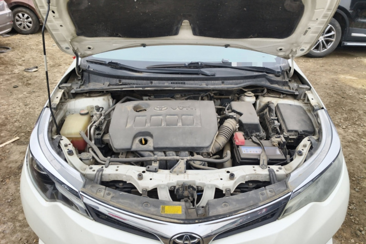 2014 Toyota Ralink - Main View