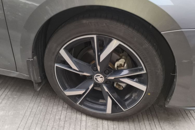 2021 Skoda Octavia - Main View