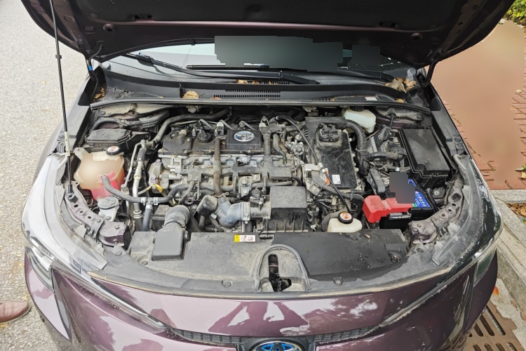 2019 Toyota 雷凌 - Main View