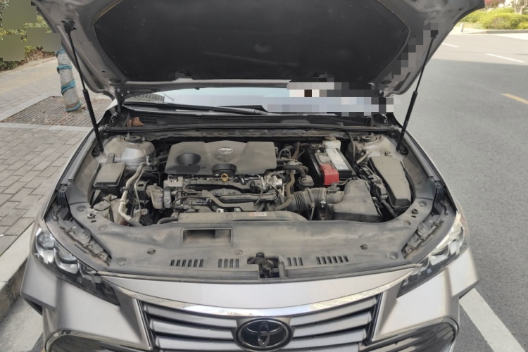 2019 Toyota Avalon - Main View