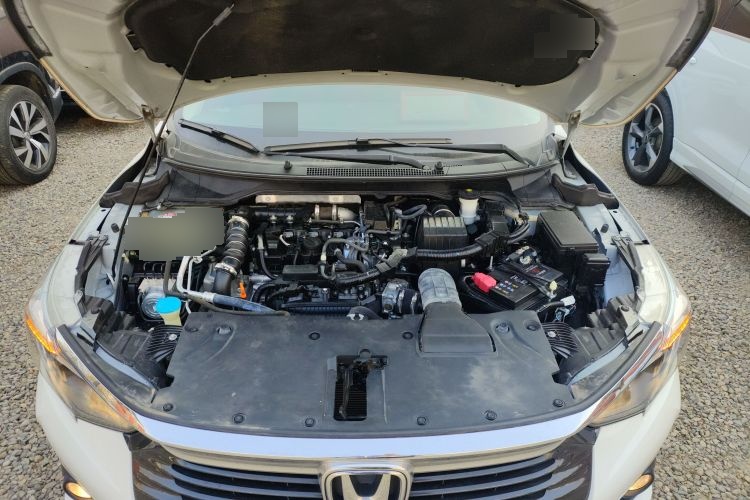 2022 Honda Lingpai - Main View