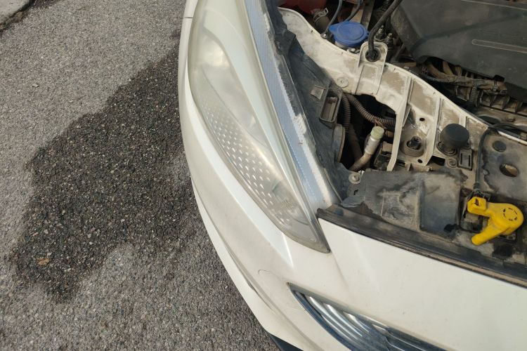 2015 Ford Focus - Main View