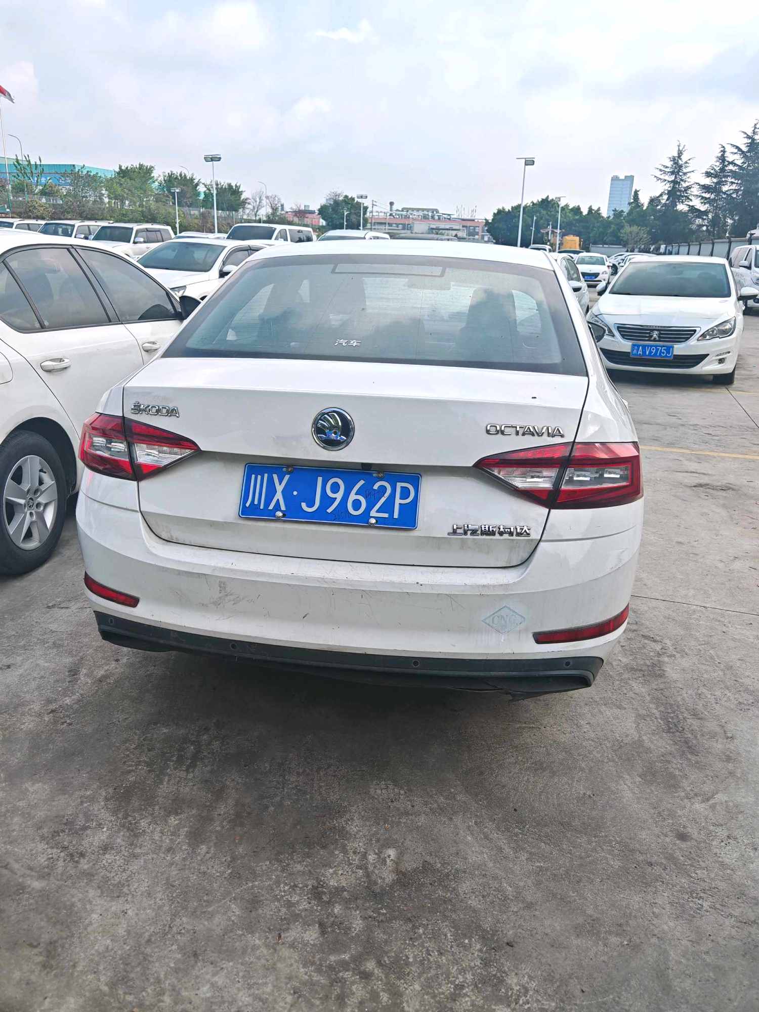 2018 Skoda Octavia - Main View