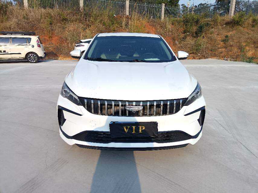 2024 Geely Binrui - Main View