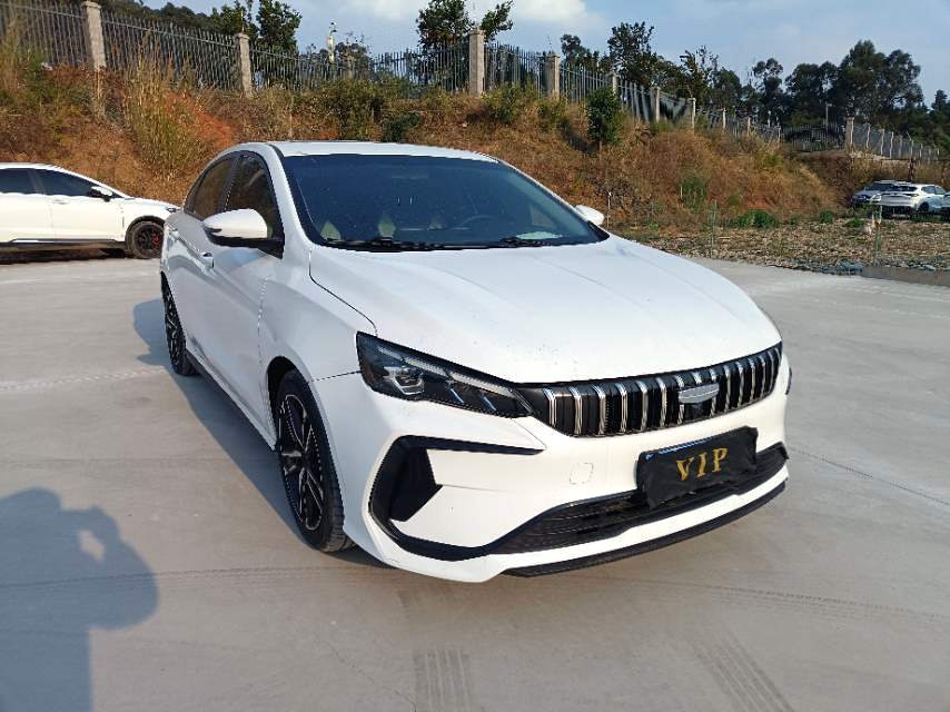 2024 Geely Binrui - Main View