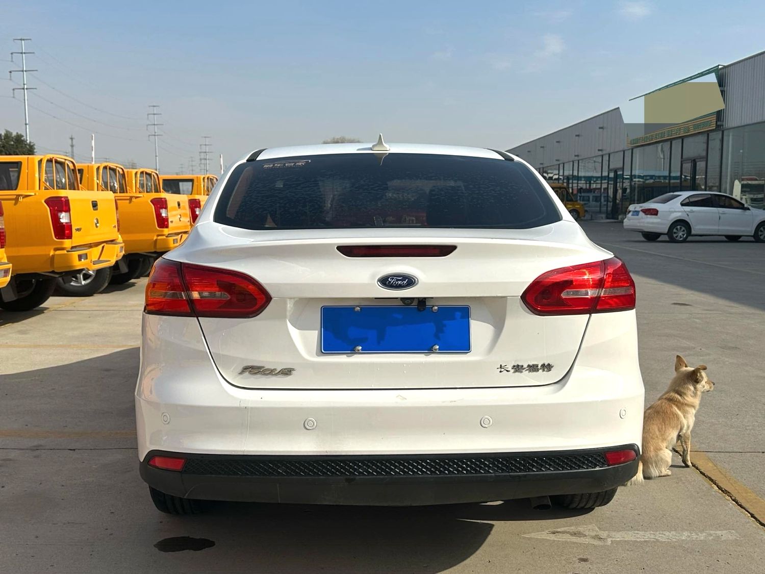 2016 Ford Focus - Main View