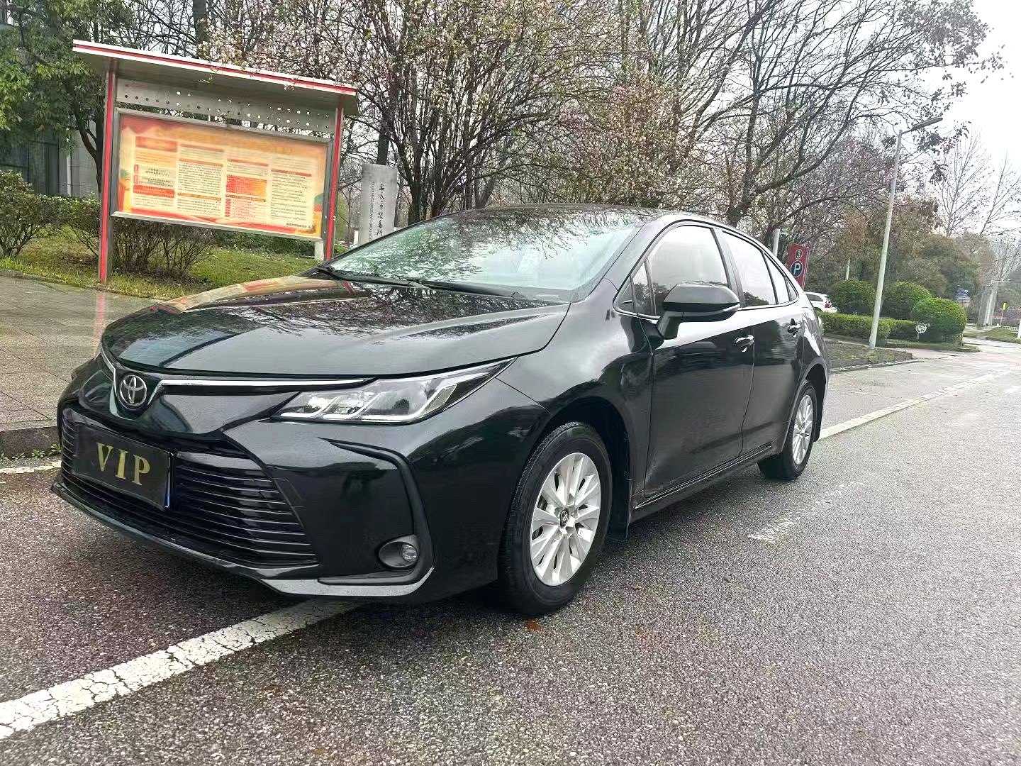 2019 Toyota Corolla - Main View