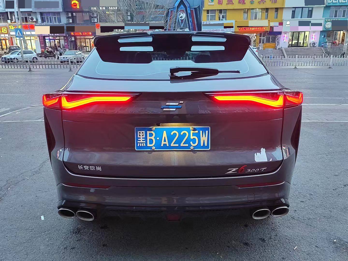 2024 OSHAN Z6 - Main View