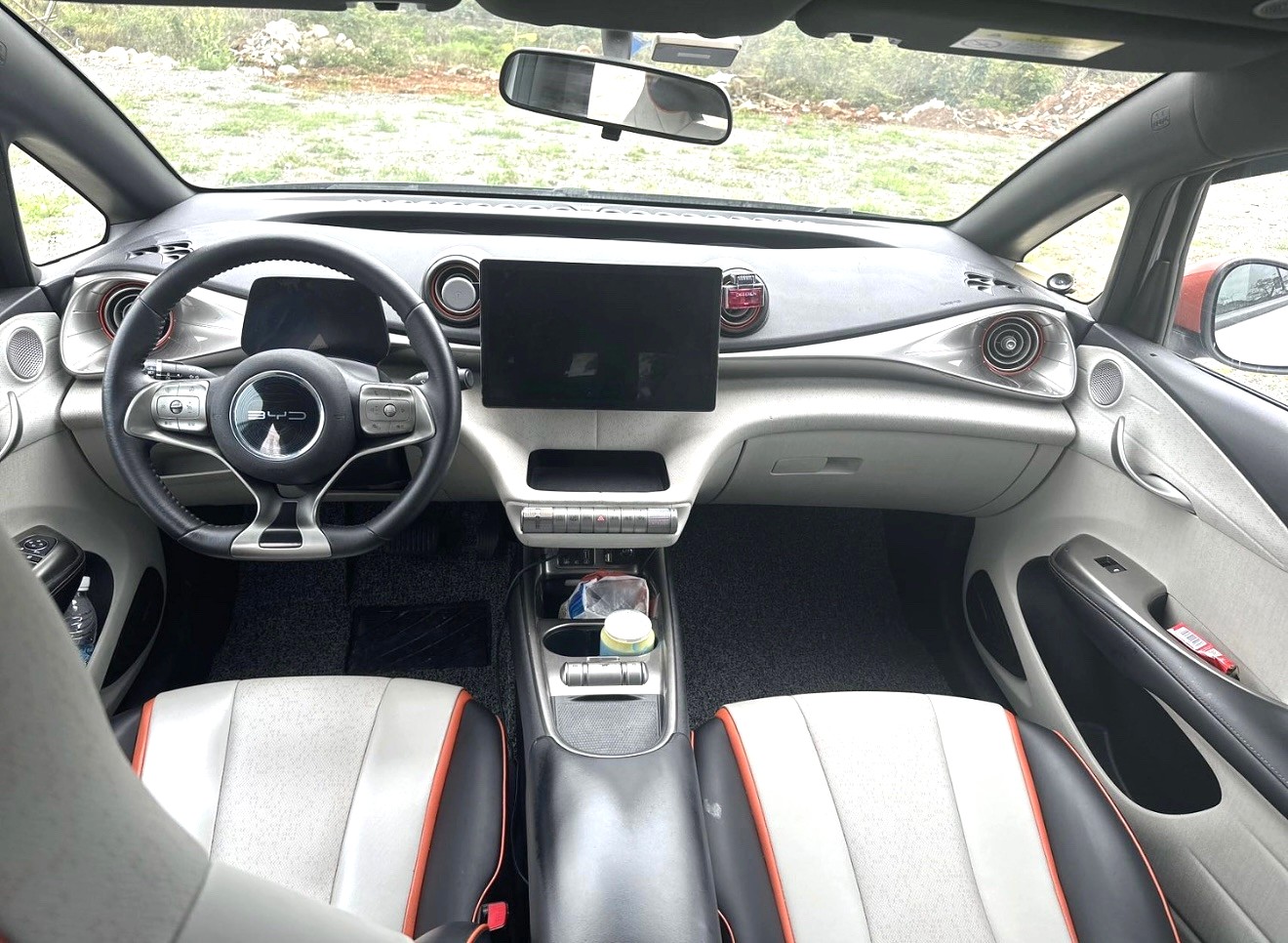 2021 BYD Dolphin - Main View