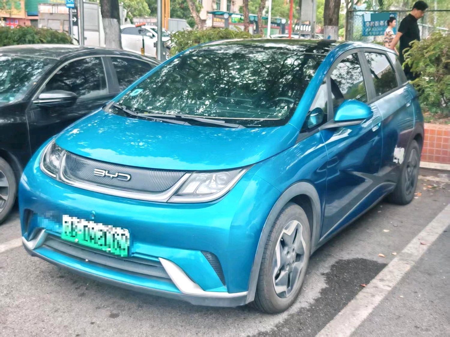 2022 BYD Dolphin - Main View