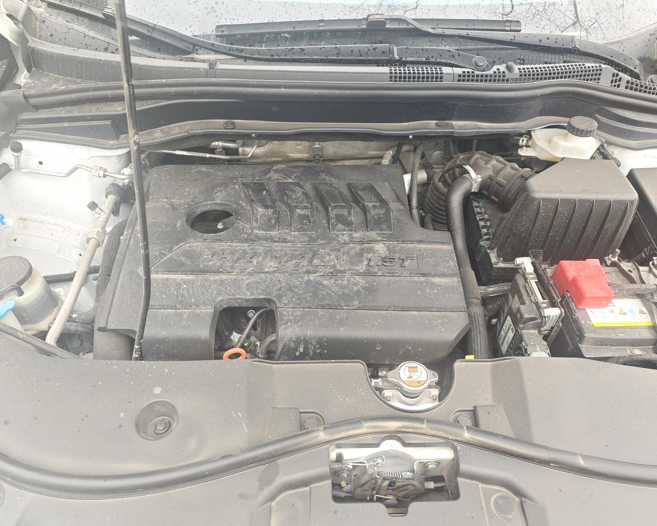 2021 Haval M6 - Main View