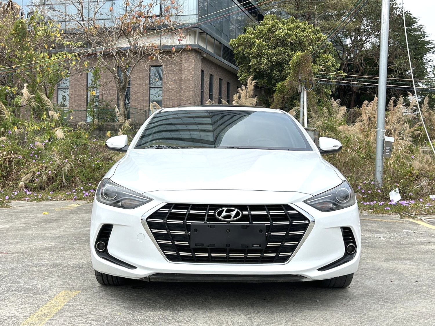 2019 Hyundai Elantra - Main View