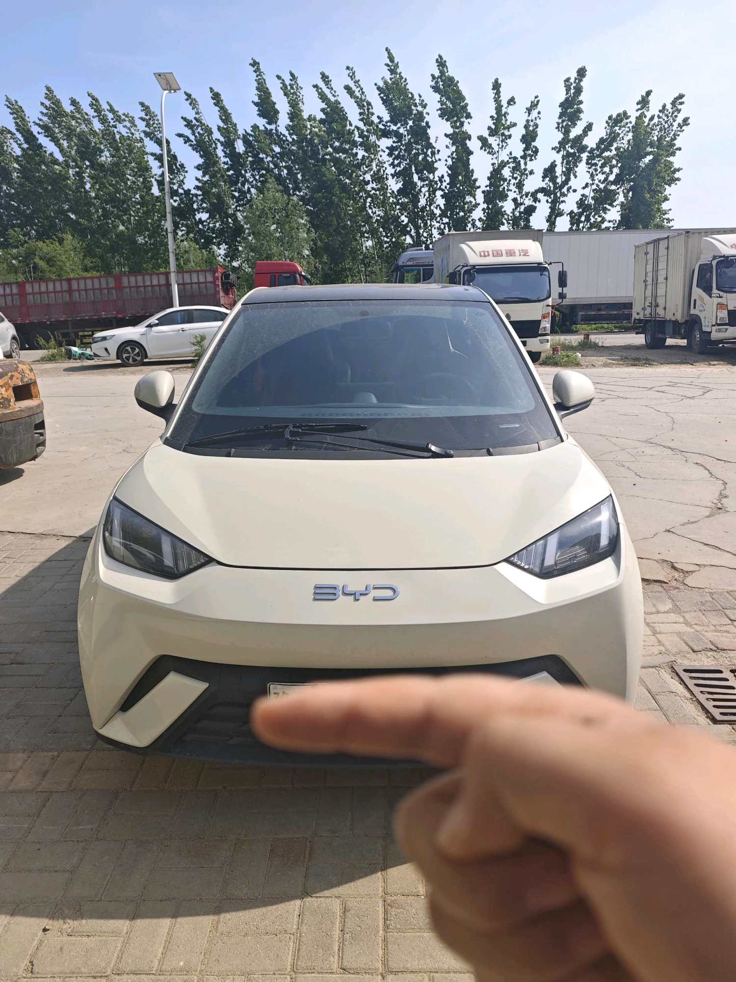 2023 BYD Seagull - Main View