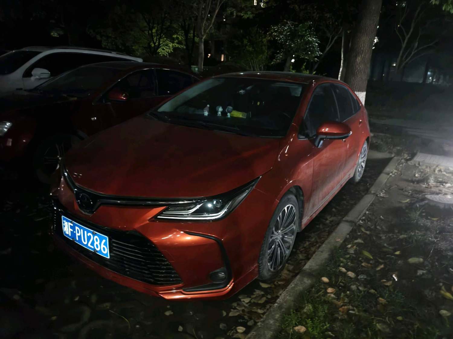 2019 Toyota Corolla - Main View