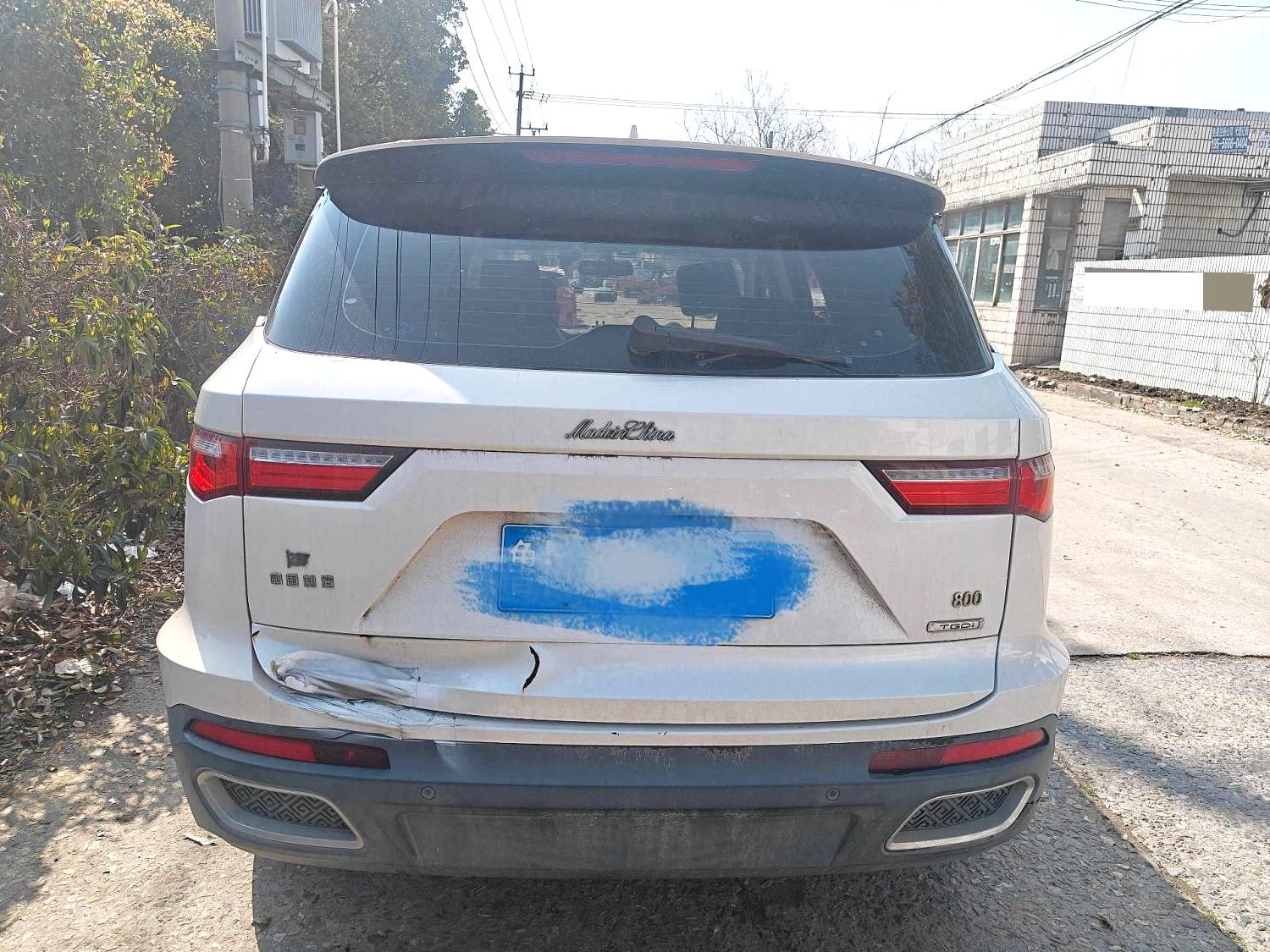 2019 Zotye T800 - Main View
