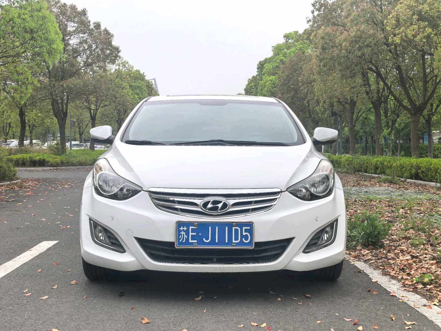 2014 Hyundai Elantra - Main View