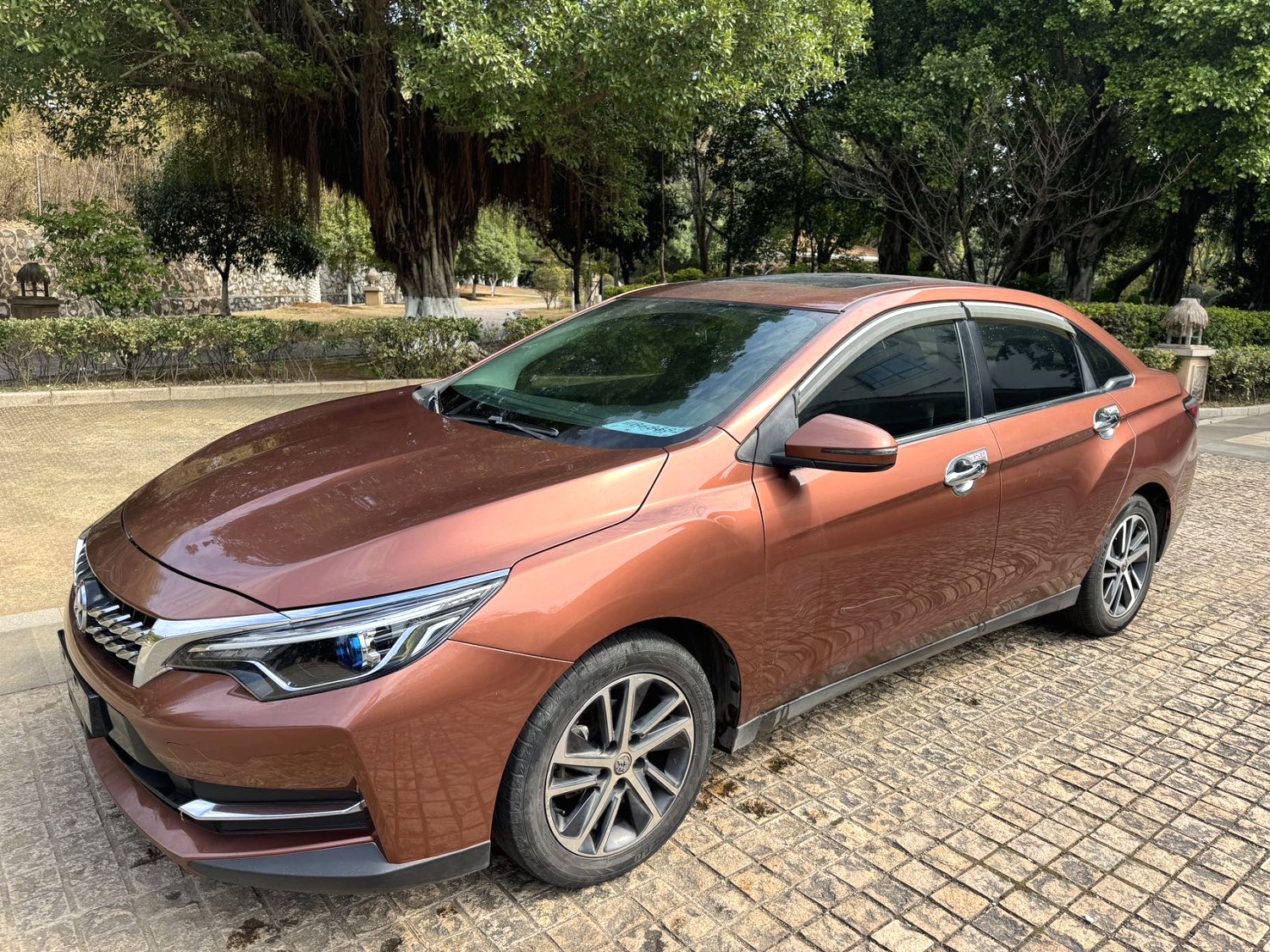 2017 Venucia D60 - Main View