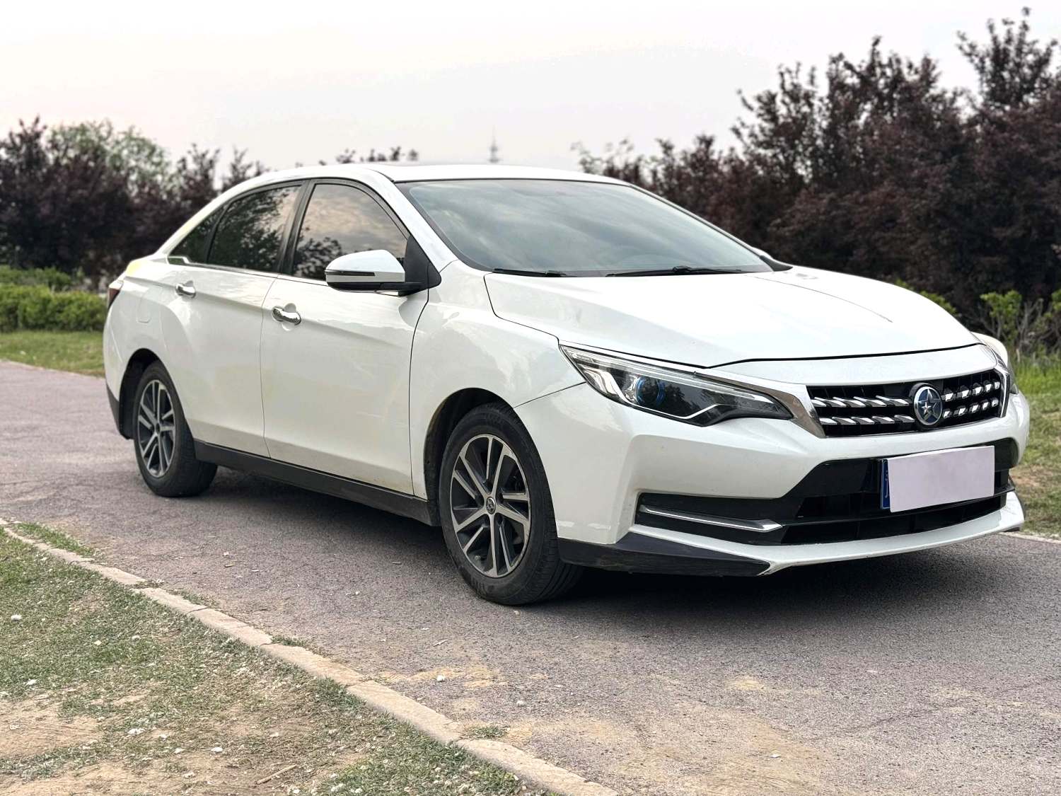 2017 Venucia D60 - Main View