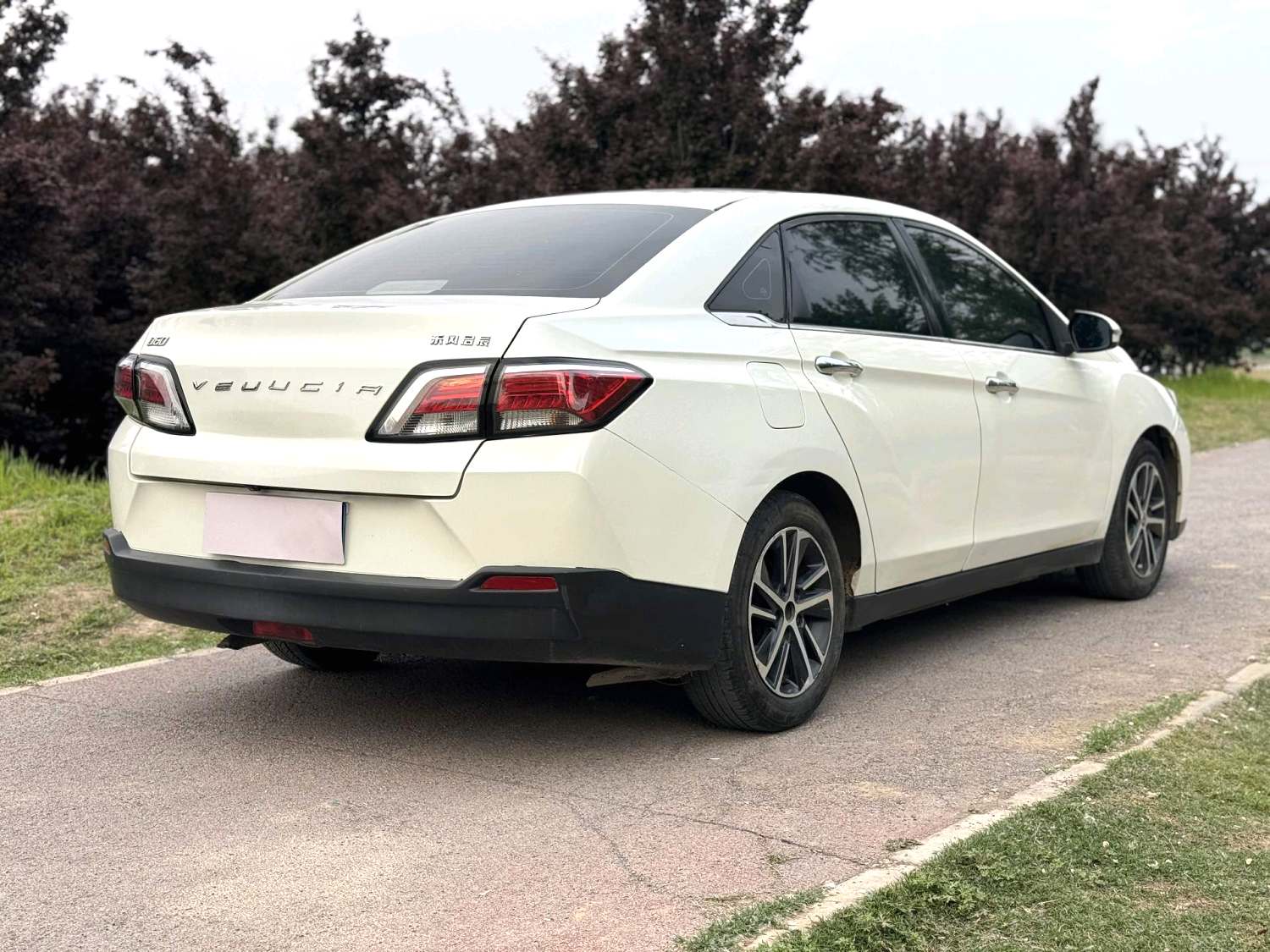 2017 Venucia D60 - Main View