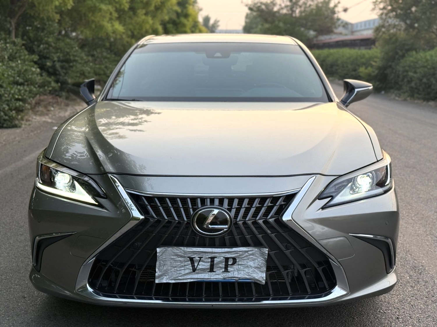 2022 LEXUS ES 200 - Main View
