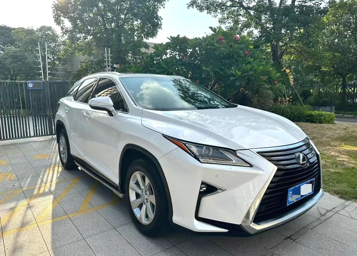 2016 Lexus RX300 - Main View
