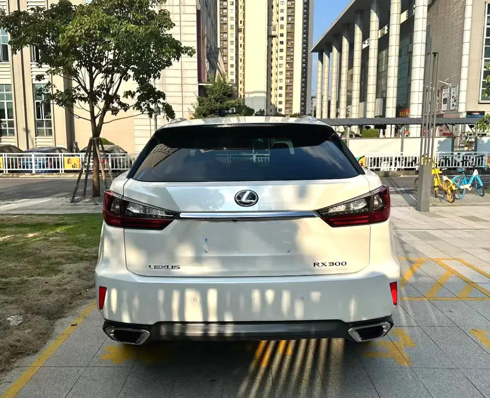 2016 Lexus RX300 - Main View