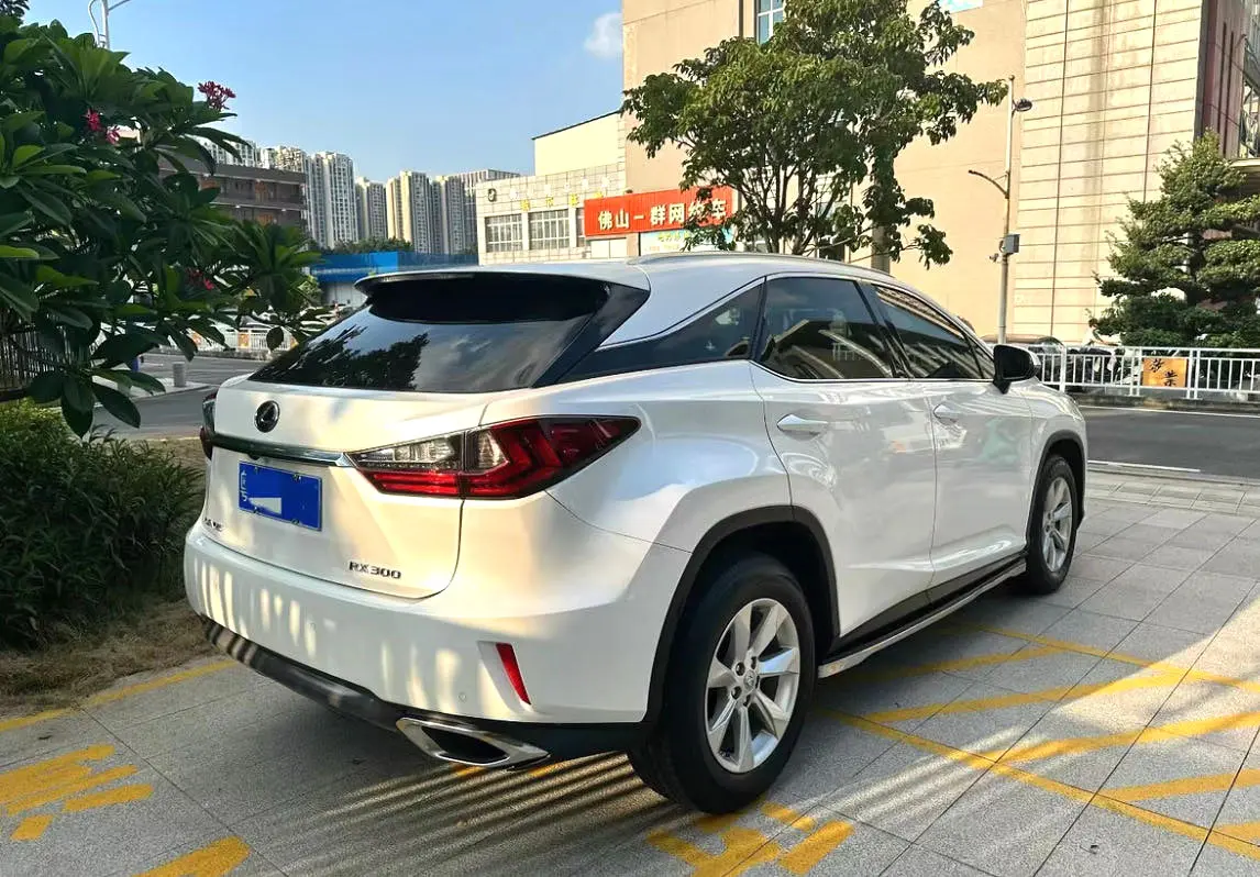 2016 Lexus RX300 - Main View