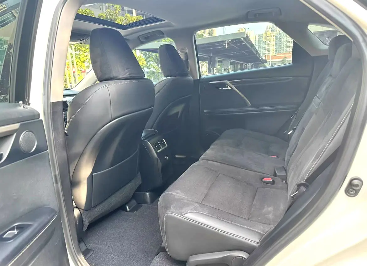 2016 Lexus RX300 - Main View