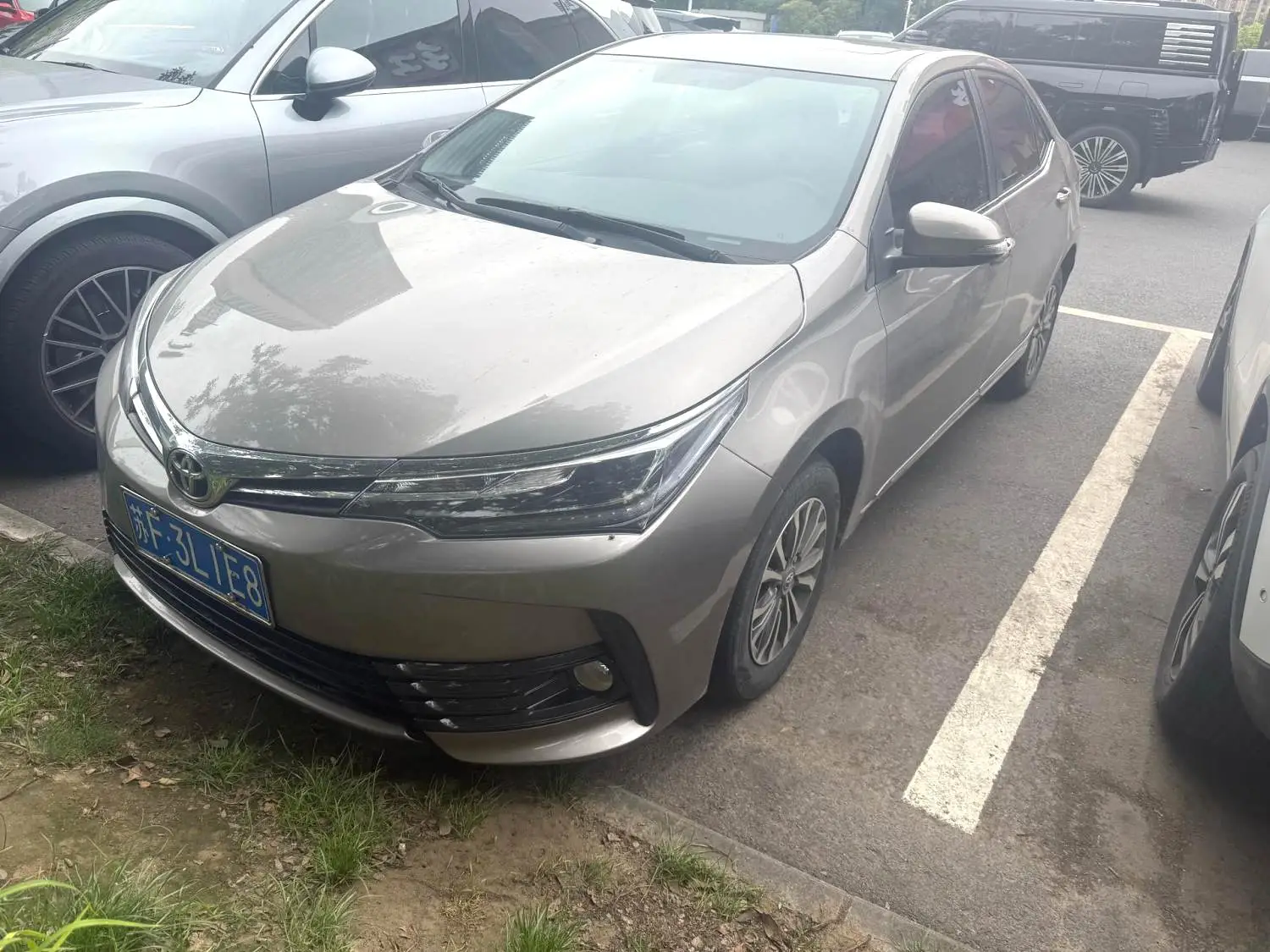 2019 Toyota Corolla - Main View