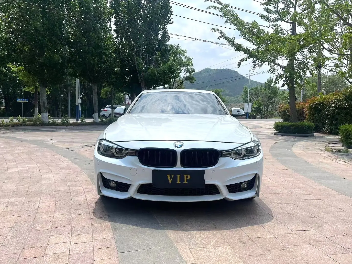 2019 BMW 320Li - Main View