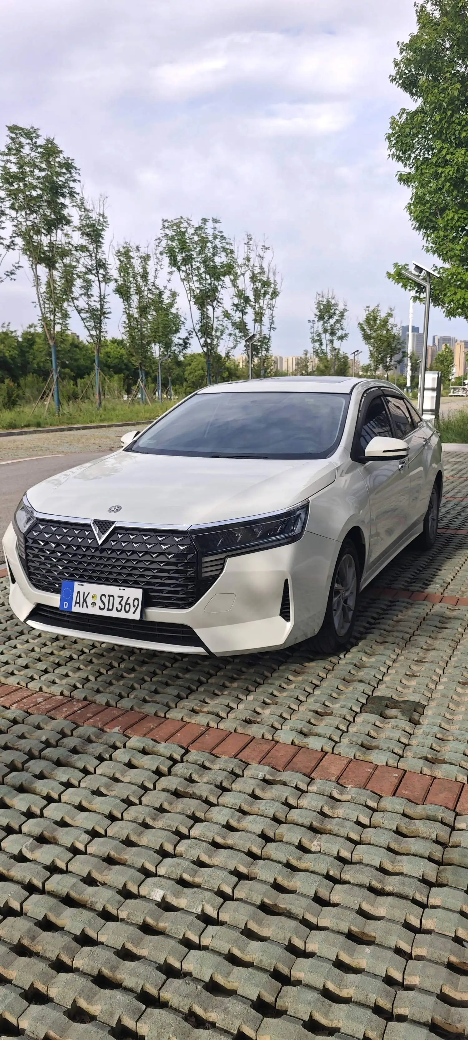 2022 Venucia D60 plus - Main View