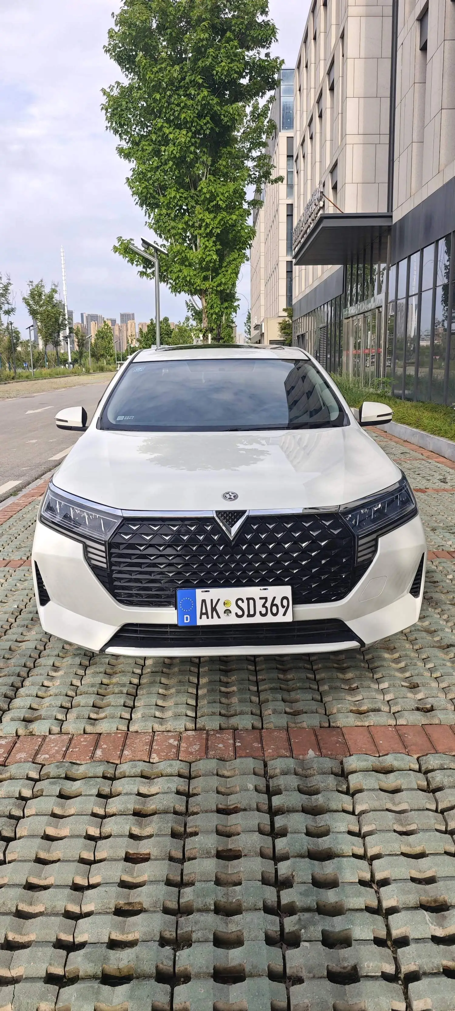 2022 Venucia D60 plus - Main View