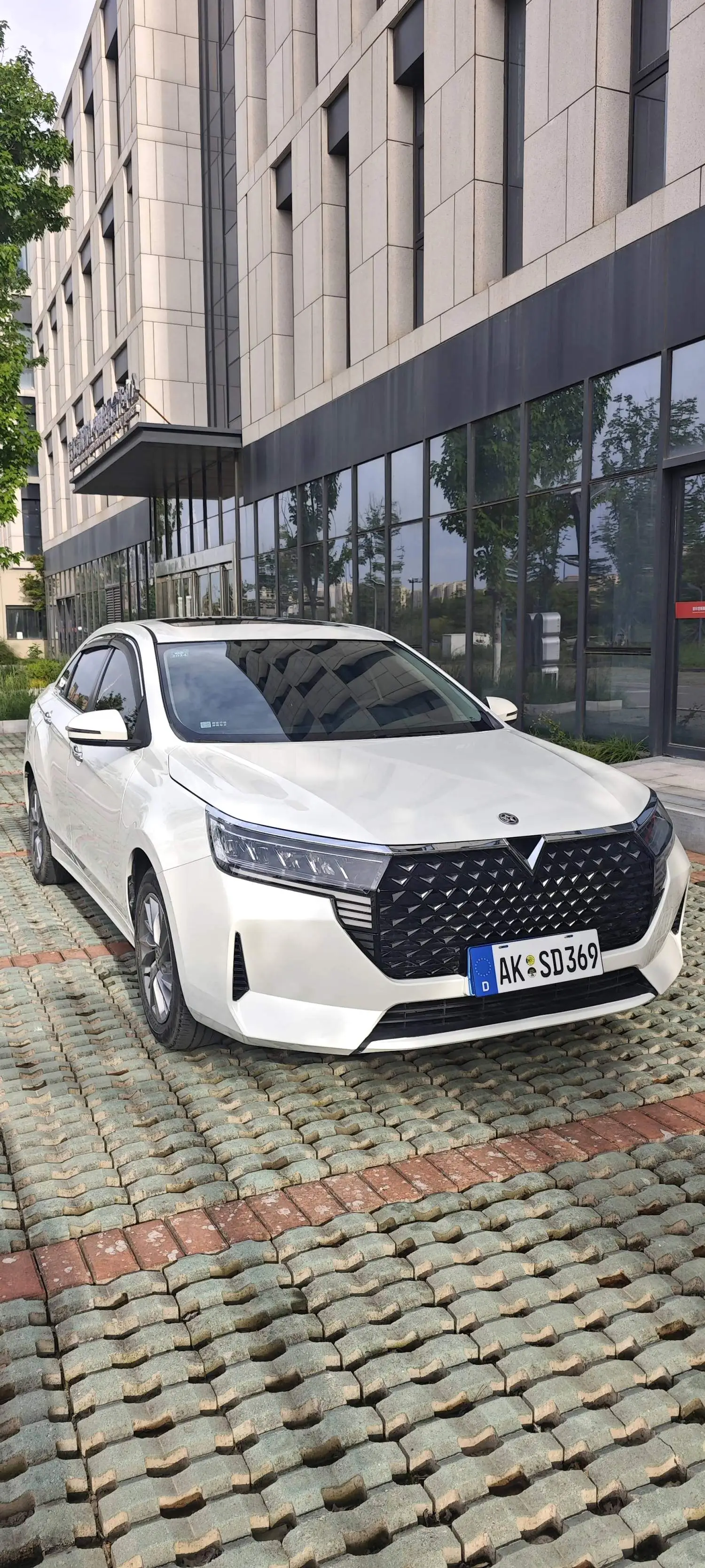2022 Venucia D60 plus - Main View