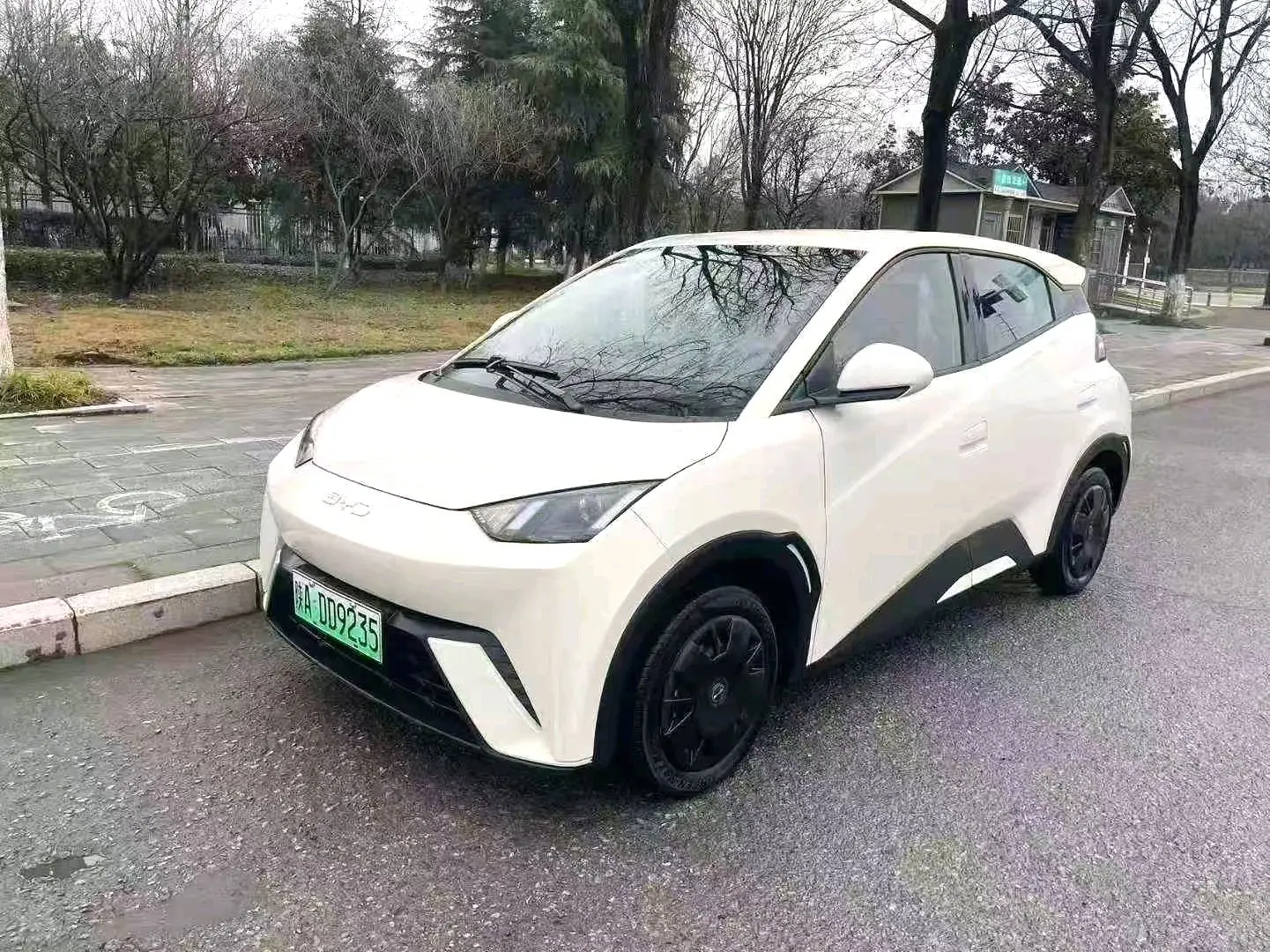 2023 BYD Seagull - Main View