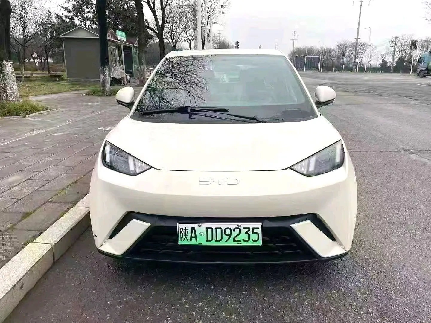 2023 BYD Seagull - Main View