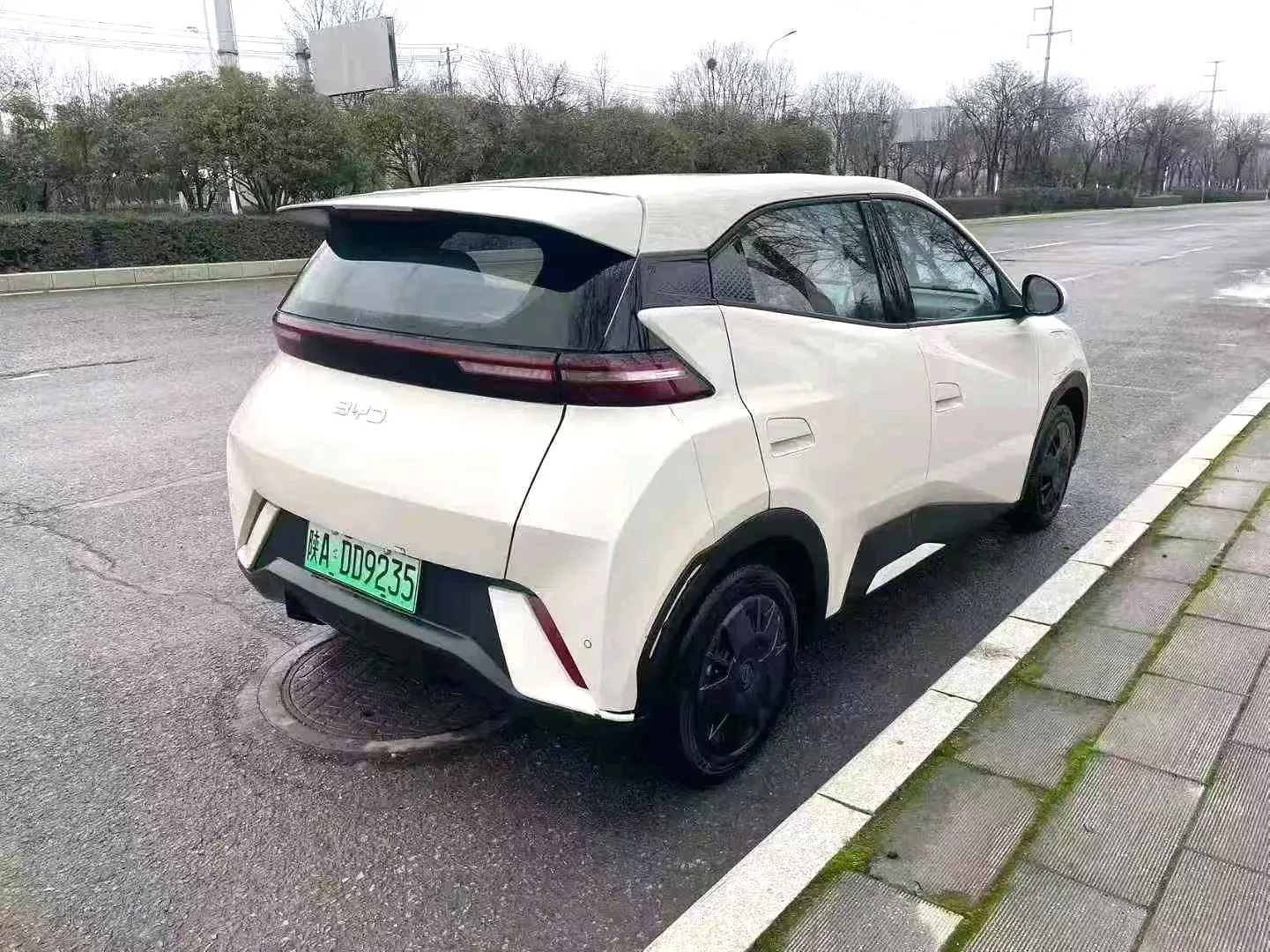 2023 BYD Seagull - Main View