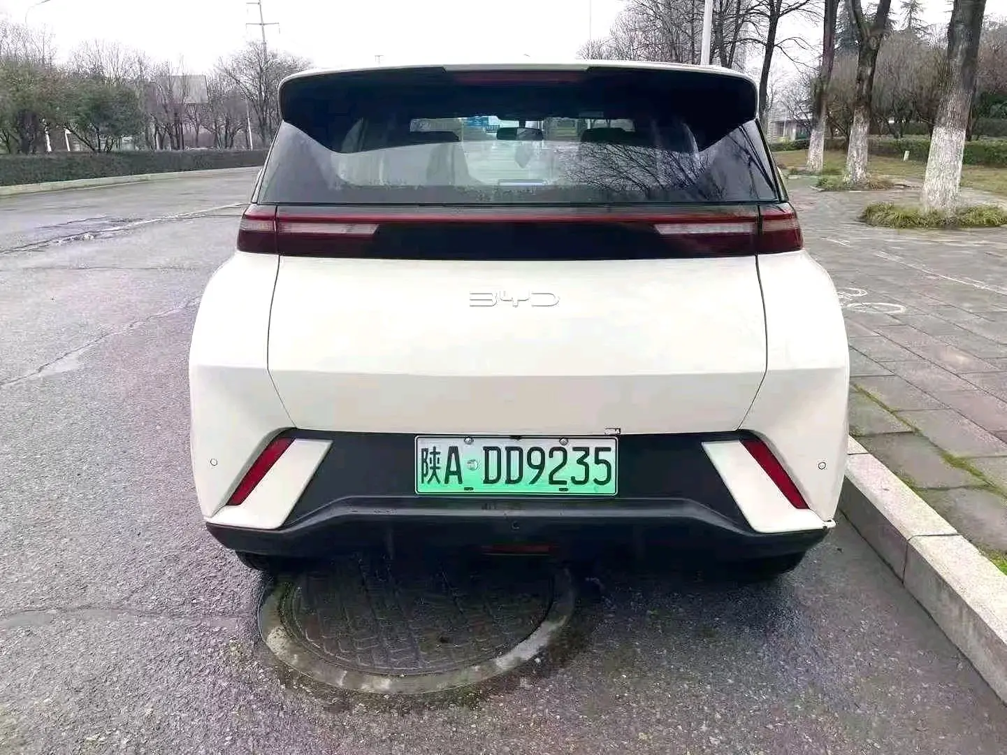2023 BYD Seagull - Main View
