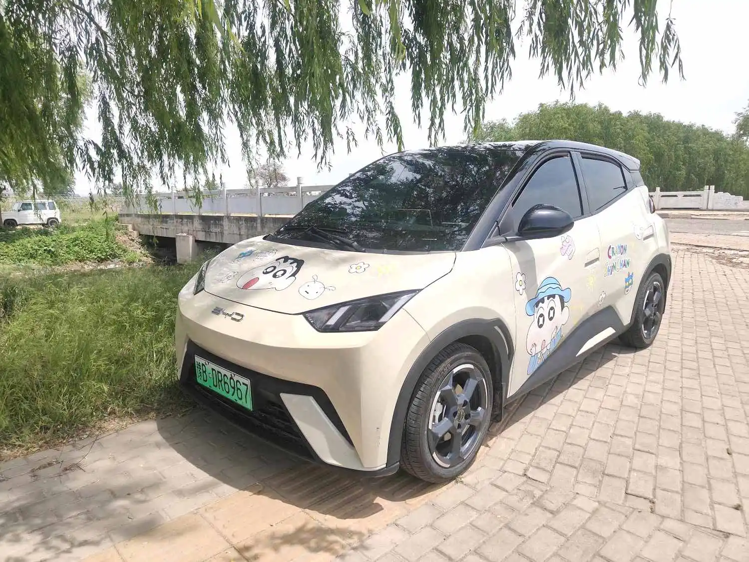 2023 BYD Seagull - Main View
