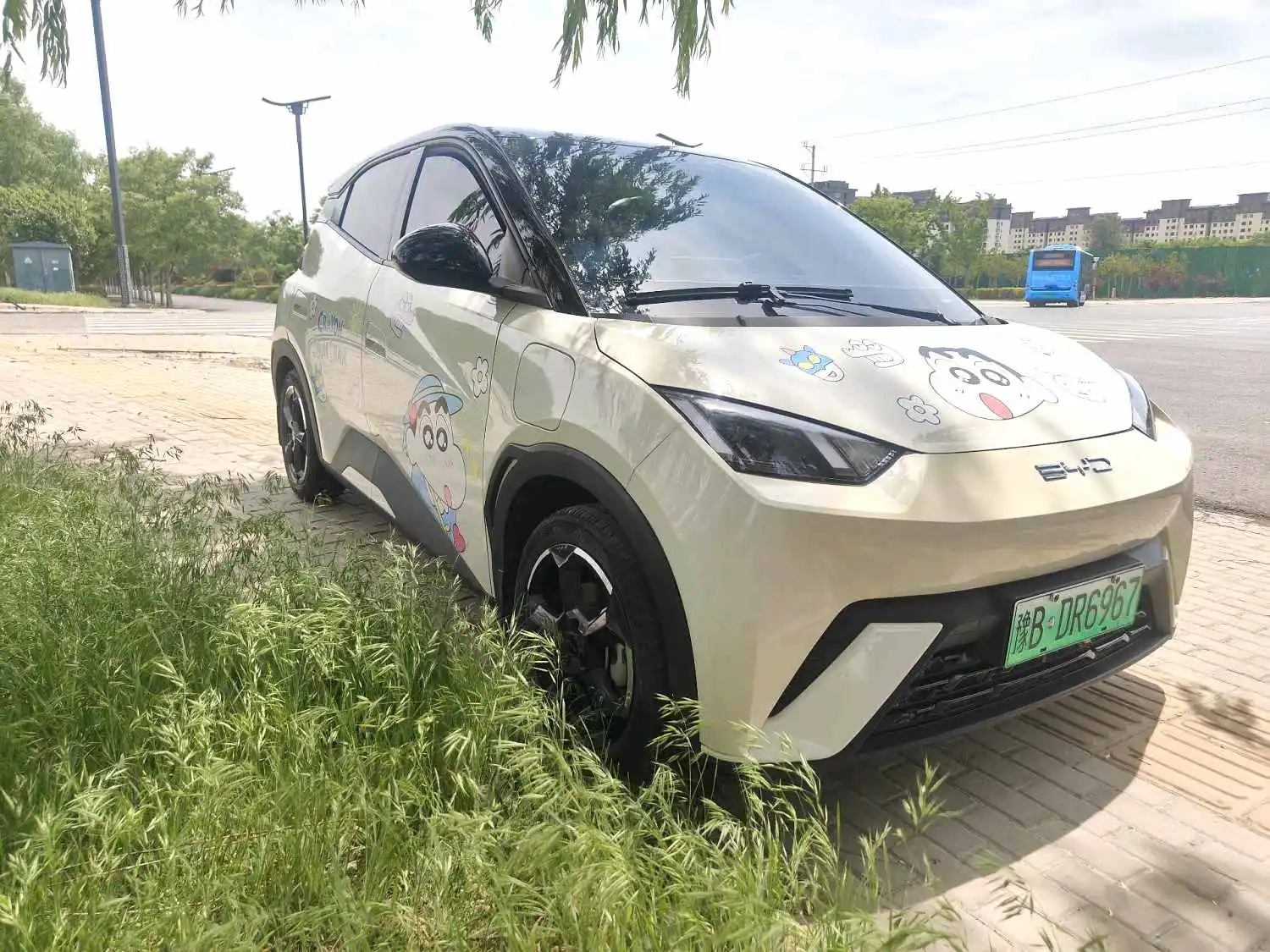 2023 BYD Seagull - Main View
