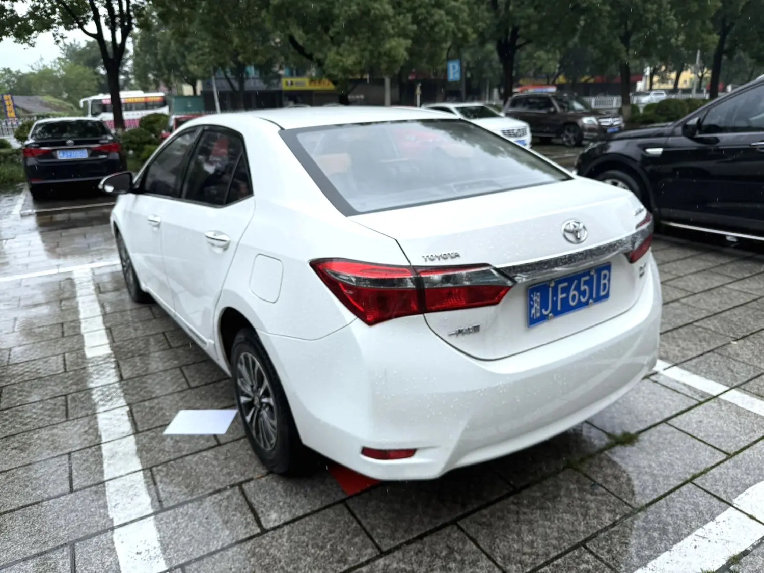 2019 Toyota Corolla - Main View