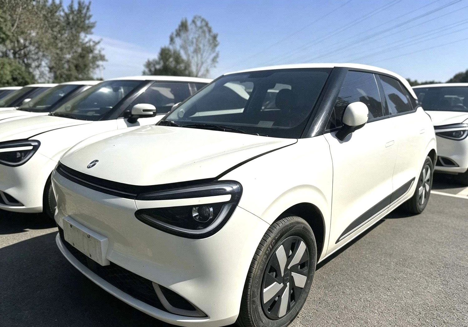 Dongfeng Nammi 01