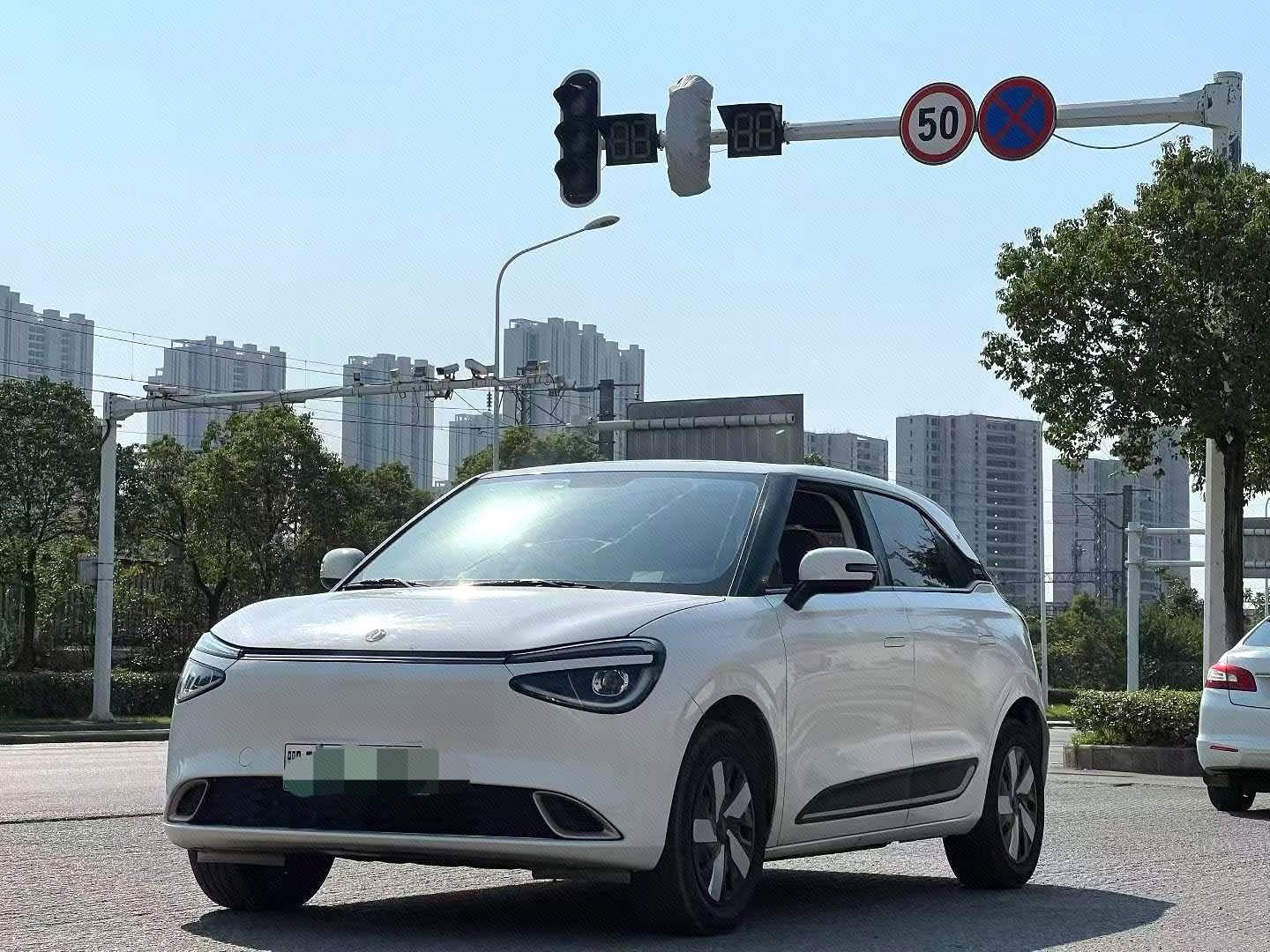 Dongfeng Nammi 01 2025