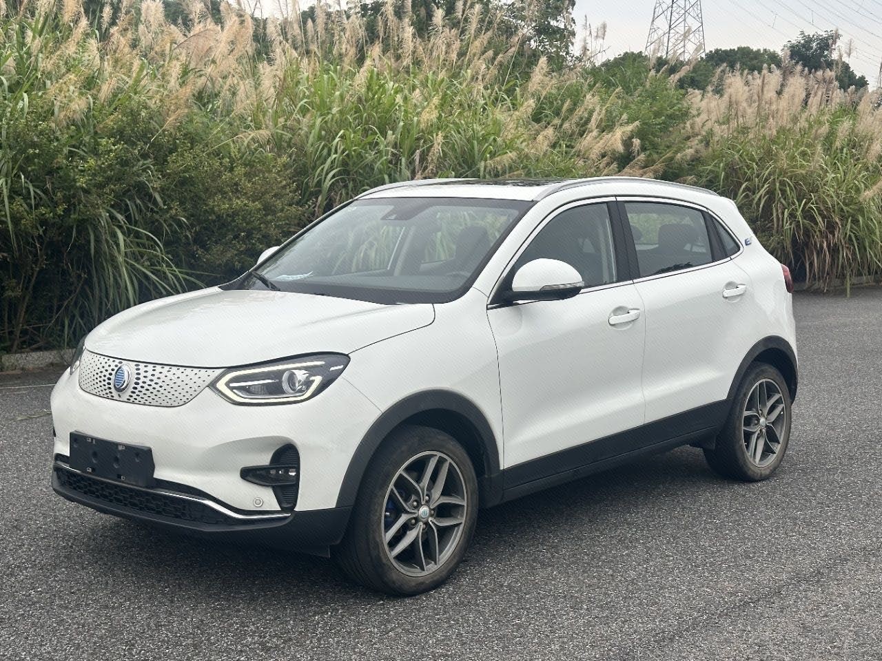 Zedriv GX5 2021