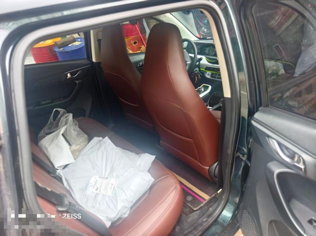 2020 Changan BenBen E-Star - Main View